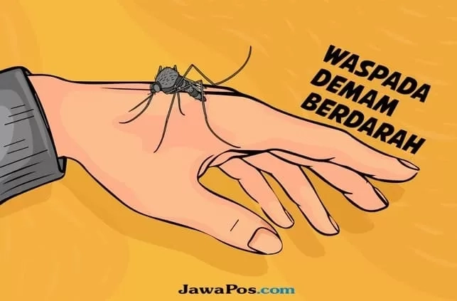 Simak dan Pahami, 3 Fase Terjangkit Demam Berdarah Serta Cara Penanganannya