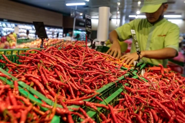 Harga Beras, Cabai, dan Telur Naik, Omzet Pedagang Turun 50 Persen