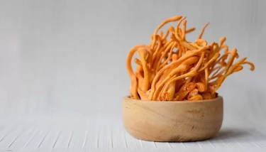 Inilah Manfaat Jamur Cordyceps Superfood dari China yang Miliki Khasiat Luar Biasa Bagi Kesehatan Tubuh