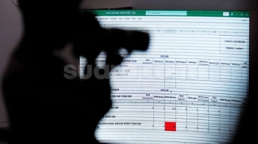 Pansus Pemilu 2024 DPD Tak Punya Taring, Pengamat Endus Ada Kepentingan Lain