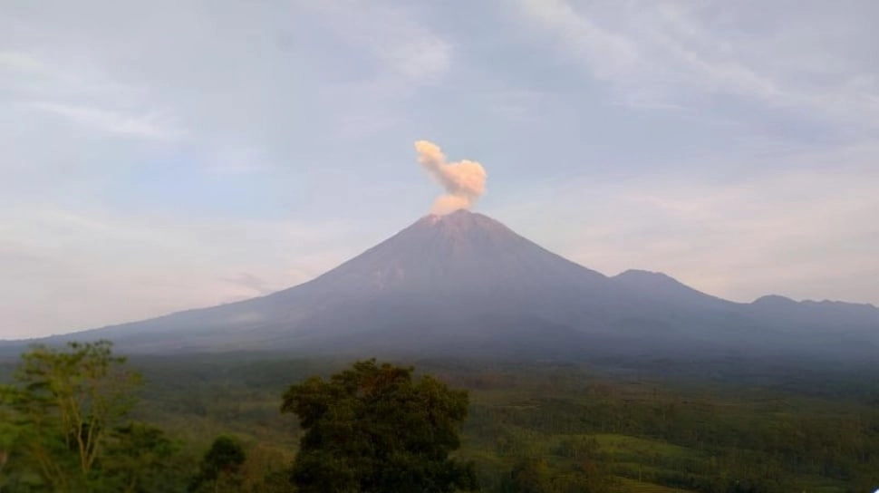 Waspada! Gunung Semeru Erupsi Lagi, Muntahkan Abu Vulkanik Setinggi 800 Meter