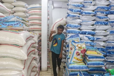 Harga Beras Turun Menjadi Rp 12 Ribu per Liter, Kualitas Premium Malah Naik