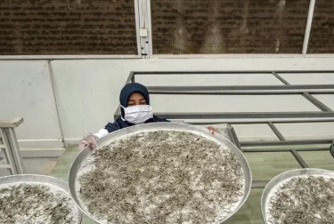 Dokter Rekomendasikan Teh Herbal untuk Atasi Bau Mulut Saat Puasa