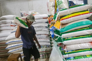 Sentra Pangan Sudah Masuk Panen Raya, Sejatinya Suplai Aman, Mentan Klaim Stok Beras Aman hingga Idul Fitri