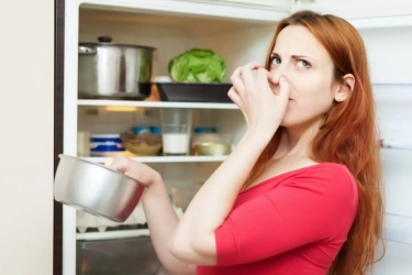 Cara Mengatasi Makanan Beraroma seperti Kulkas, Salah Satunya Rajin Bersihkan Lemari Pendingin