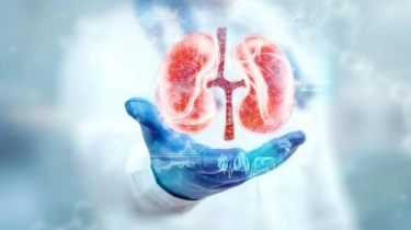 Ciri-ciri Ginjal Sehat dan Normal, Segera Cek Ketika Urine Berbusa
