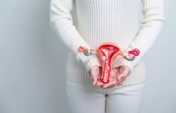 Kenali Gejala Kista! Pastikan Organ Reproduksimu Terjaga, Simak Tips Kesehatan Rahim Bagi Perempuan