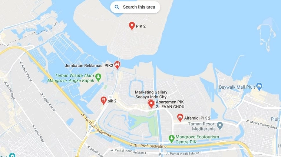 Ada 'Udang' Dibalik Jokowi Jadikan Kawasan PIK dan BSD Proyek Strategis Nasional