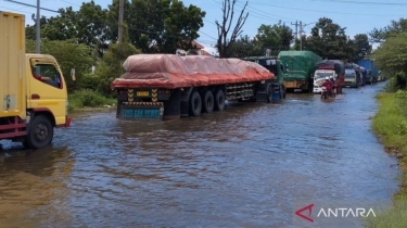 Peta Banjir Demak Tahun 2023-2024, 11 Kecamatan Terendam