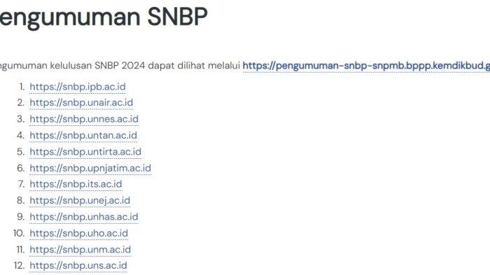 40 Link Alternatif untuk Cek Nama-nama Siswa Lolos SNBP 2024, Segera Daftar Ulang