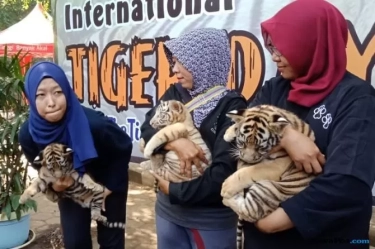 5 Rekomendasi Tempat Wisata untuk Lebaran di Semarang, Rekreatif dan Edukatif untuk Keluarga Kecil