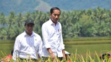 Panen Padi di Sigi Meningkat 4 Kali Lipat, Menteri Pertanian Ungkap Metode Tanamnya