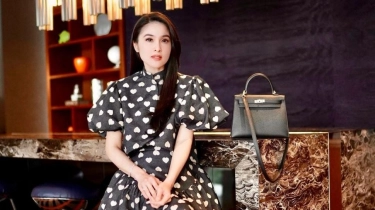Bukan Cuma Sandra Dewi, Ini Sederet Artis yang Punya Jet Pribadi