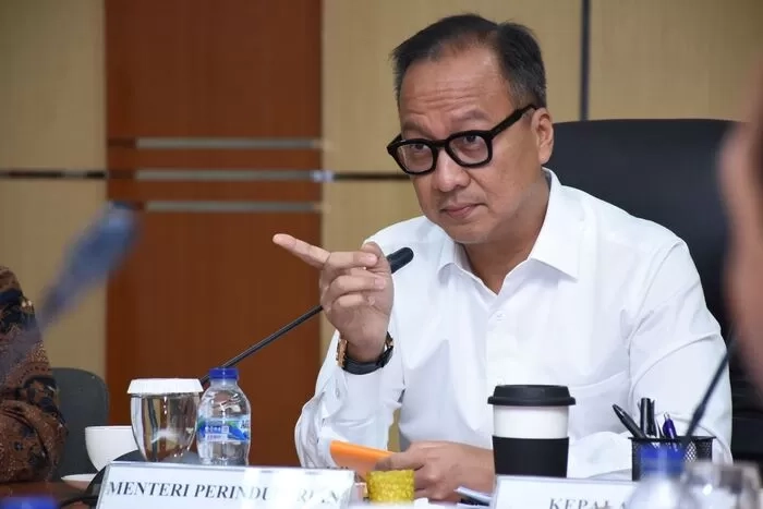 Produsen Mobil Asal Prancis dan Vietnam Siap Berinvestasi di Indonesia,  Siapakah?