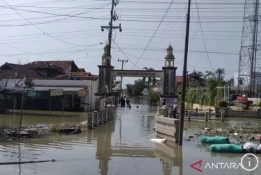 Tak Ada Lagi Pengungsi Banjir, Warga Demak Sudah Kembali ke Rumah Masing-masing