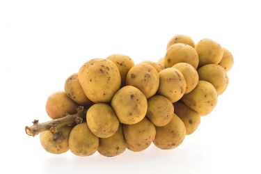 Duku Buah Mungil Kaya Manfaat Bagi Kesehatan Tubuh, Berikut 14 Manfaatnya