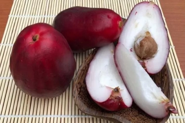 Kaya Nutrisi, Ini 6 Manfaat Jambu Jamaika Bagi Kesehatan, Salah Satunya Memperbaiki Kesehatan Mata