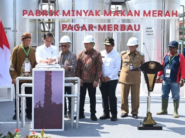 Mengenal Minyak Makan Merah dan Perbedaannya dengan Minyak Goreng Biasa? Simak Penjelasannya