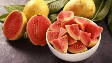 Jus Jambu Biji Bukan Obat Utama Penyakit DBD