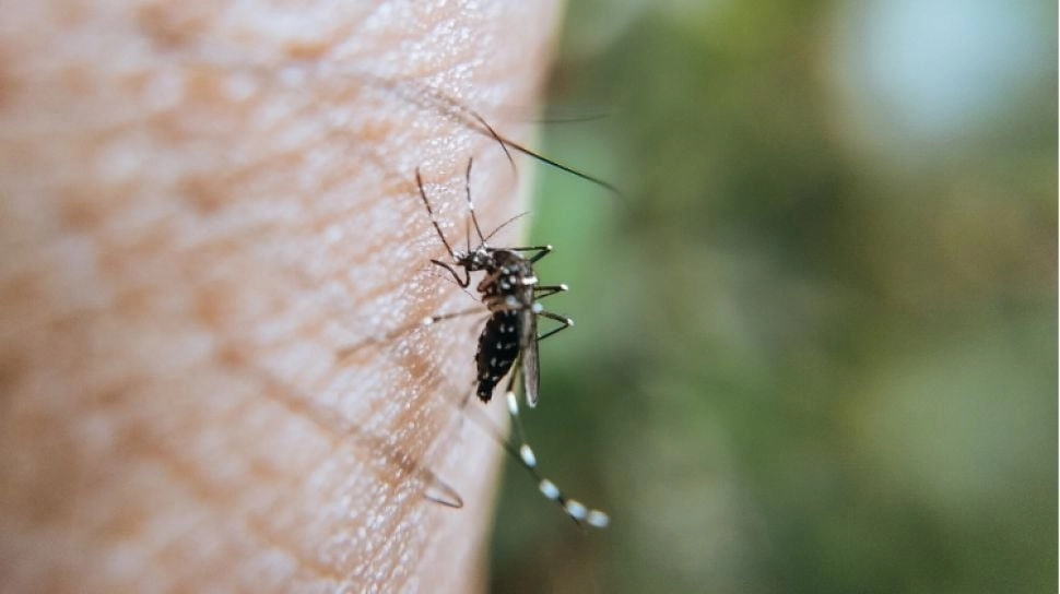 Waspada! kasus DBD Meroket Tiga Kali Lipat!