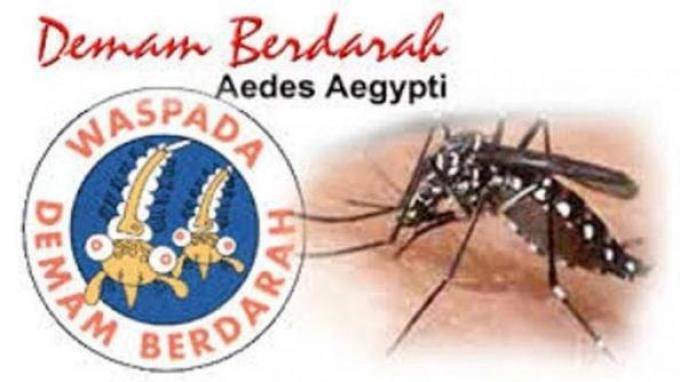 Kemenkes Ungkap Kasus DBD Capai 53.131 Orang dengan 404 Kasus Kematian