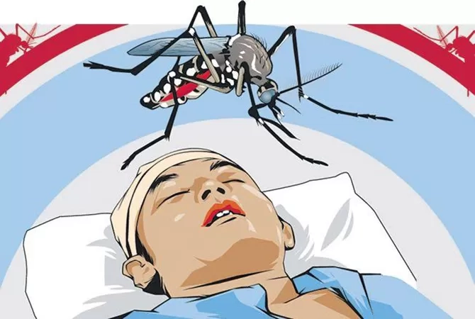 Waspada! Kasus DBD Capai 53 ribu Kasus dalam 3 Bulan, Kemenkes Sebut Belum Capai Puncak