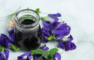 5 Manfaat Bunga Telang untuk Kesehatan Tubuh yang Masih Jarang Diketahui, Salah Satunya Cegah Pertumbuhan sel Kanker