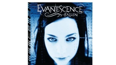 Lirik Lagu dan Terjemahan What You Want - Evanescence: Somewhere Beyond The Pain