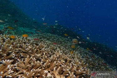KKP Atur Kuota Wisata di Kawasan Konservasi Nasional, Salah Satunya Gili Matra