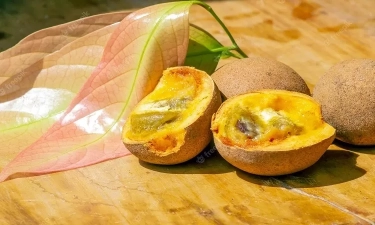 Punya Masalah Bau Badan? Konsumsi Buah Keraton, Mengenal 'Kepel' dan Manfaatnya