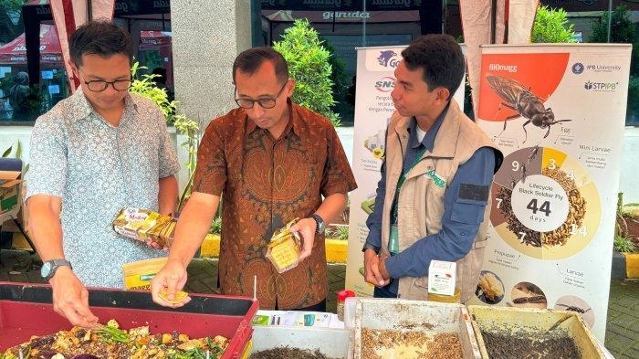Pemanfaatan Maggot Mampu Urai Sampah Organik 1 kg dalam Sehari