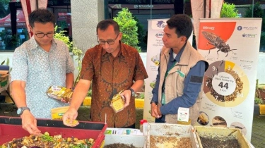 Pemanfaatan Maggot Mampu Urai Sampah Organik 1 kg dalam Sehari
