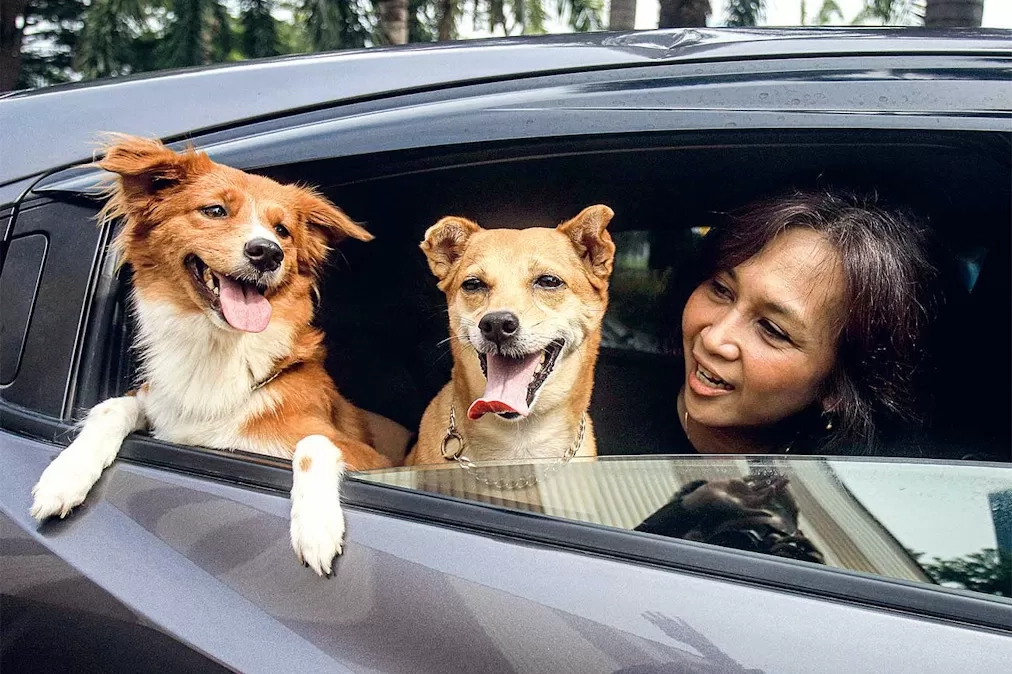 Kisah Remmy dan Kanny Road Trip Bareng Chloe dan Pam: Terjaga Sepanjang Jalan, Nikmati Semilir Angin