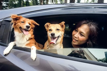 Kisah Remmy dan Kanny Road Trip Bareng Chloe dan Pam: Terjaga Sepanjang Jalan, Nikmati Semilir Angin