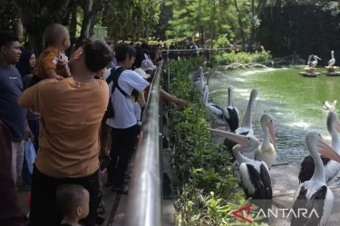 Pengelola Ragunan Siapkan Kantong-kantong Parkir dan Tambah Toilet Portabel