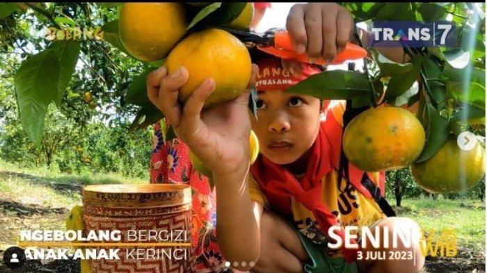 Jadwal Acara TV Selasa, 9 April 2024: Pintu Berkah di Indosiar, Bocah Petualang di TRANS 7