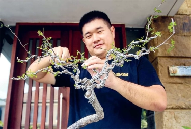 Mengenal Tanaman Madagaskar dan Karakter Eksotisnya, Corak Eksotis yang 