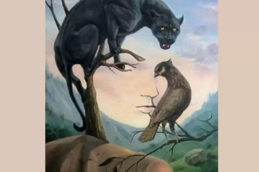 Tes Kepribadian Ilusi Optik: Wajah atau Hewan? Hal yang Pertama Kali Dilihat Ungkap Kualitas Dirimu