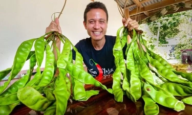 Meski Baunya Tidak Sedap, Petai Memiliki 7 Manfaat Bagi Kesehatan Tubuh, Apa Saja?