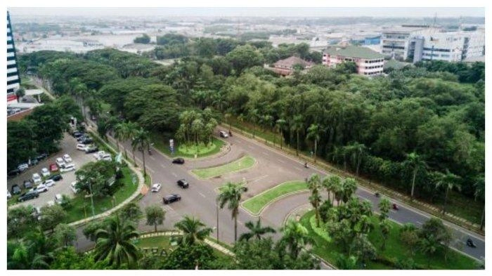 Tanam Puluhan Ribu Pohon, LPCK Komitmen Kembangkan Kawasan Hijau