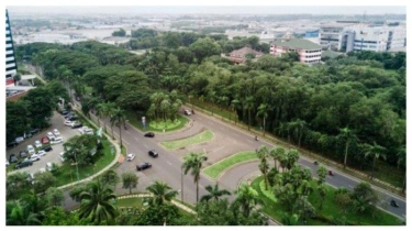 Tanam Puluhan Ribu Pohon, LPCK Komitmen Kembangkan Kawasan Hijau