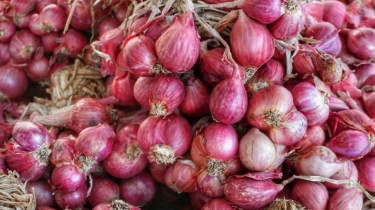 Harga Bawang Merah Naik Usai Lebaran, Ternyata Ini Biang Keroknya