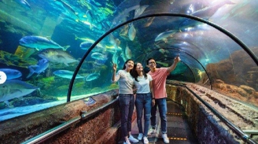 Rekomendasi Tempat Wisata untuk Keluarga di Ancol