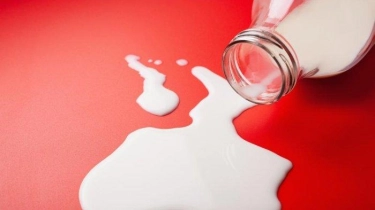 WHO Temukan Produk susu Terkontaminasi Virus Flu Burung H5N1 di AS