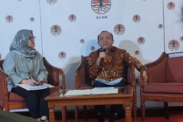 Mitigasi Perubahan Iklim, KLHK Gelar Penanaman Mangrove Serentak di 25 Titik