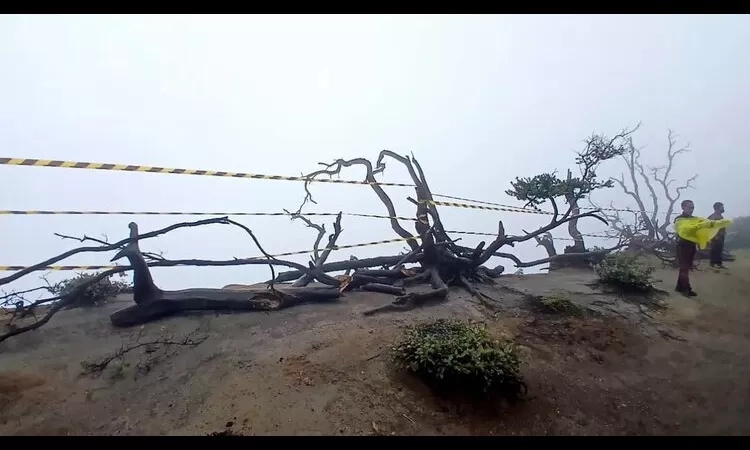 Pasca Insiden Maut Turis Tiongkok, Spot Selfie di Kawah Ijen Ditutup dan Diberi Pita Kuning, Pengelola Ungkap Alasannya