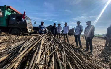 PT SGN Siap Penuhi Kebutuhan Gula Masyarakat, Peran dan Kesejahteraan Petani Tebu Jadi Fokus Utama