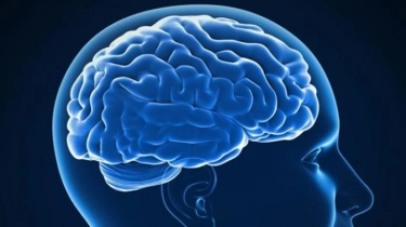 Meningitis Bisa Sembuh Total