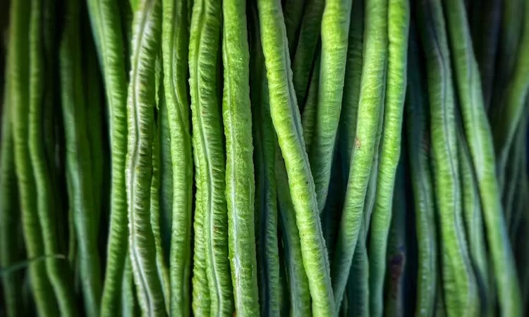 Kaya Vitamin A, B, dan C, Simak Ragam Khasiat Kacang Panjang yang Dianggap Bukan Sembarang Sayur!