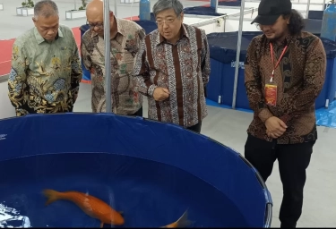 Merambah Sampai Papua, Dubes Jepang Gembira Penghobi Koi Indonesia Tak Hanya di Jawa